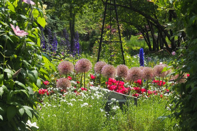 CutFlowers 1 768
