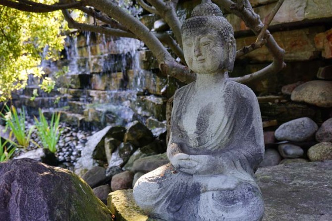 DSC01415 v2