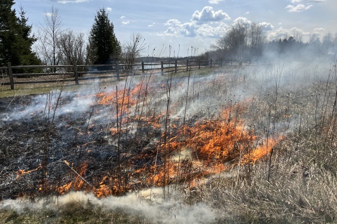 fire moves south