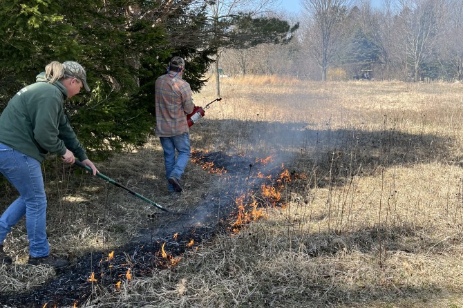 sherri and miles fire line around spruce