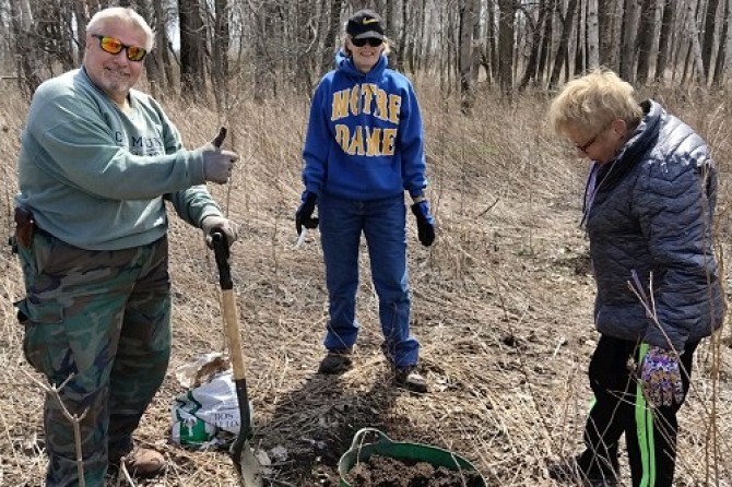 tree planting