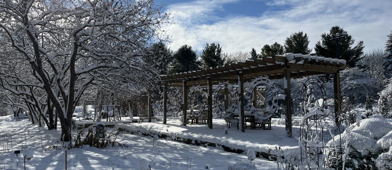 snowy tennis court garden